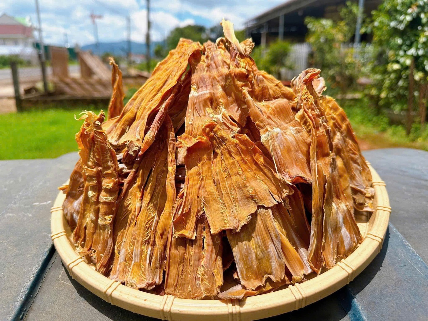 Viết giữa mùa măng rừng | Báo Gia Lai điện tử